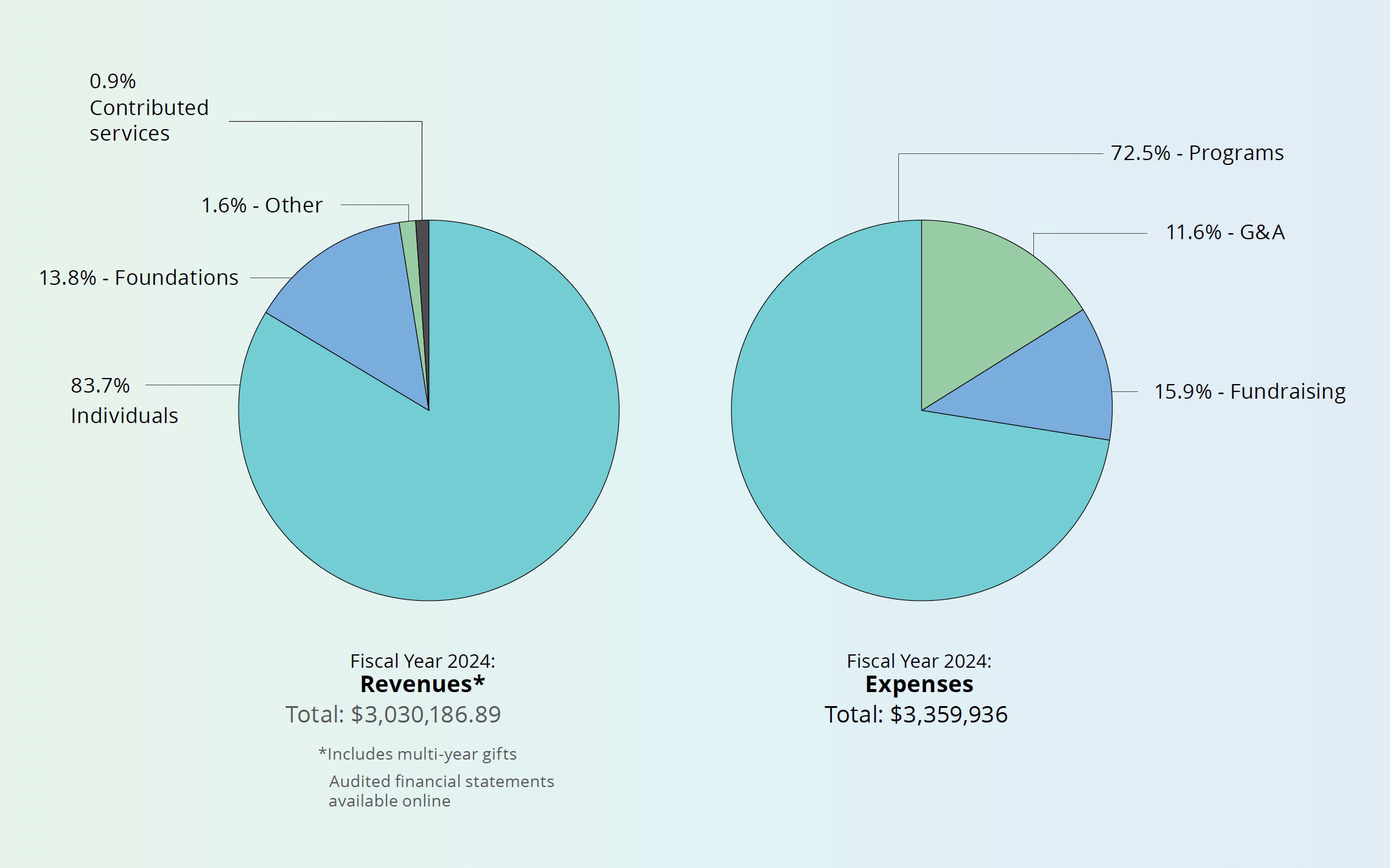 A diagram showing the Fiscal year 2024 Revenues and expenses